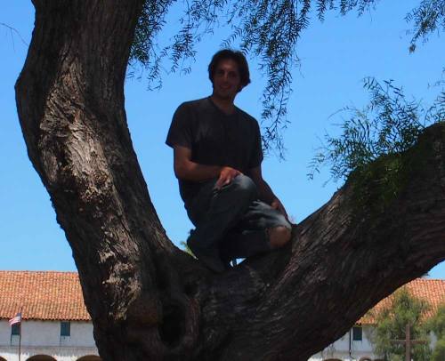 Lisanti in a Tree