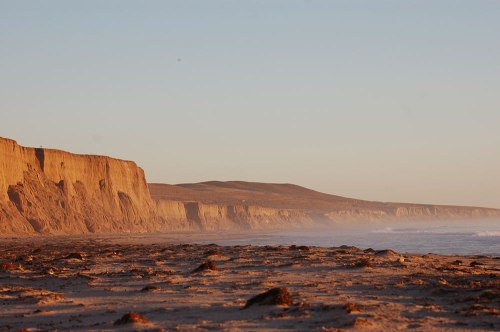 See any signs of human life?  