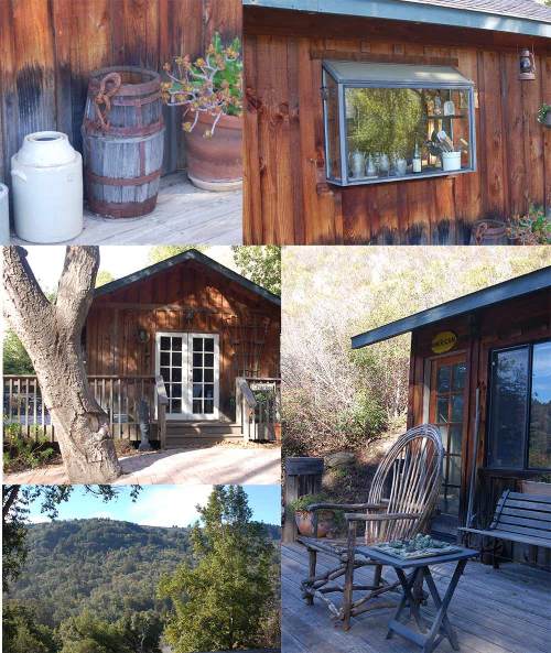 Our cute little cabin in the woods.