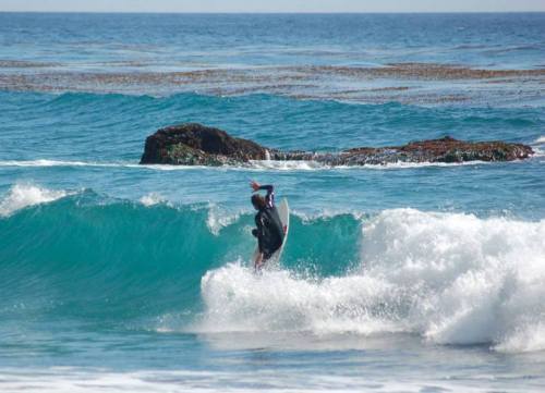 11329971_10204287135927464_8294743859248485176_n